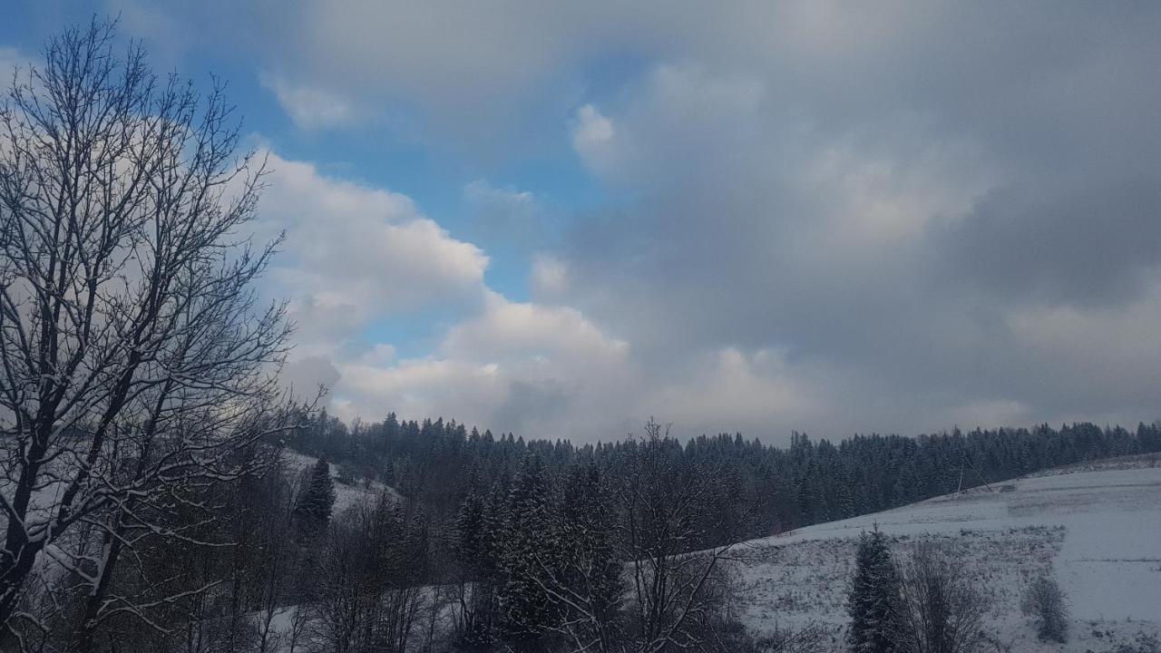 У Медовому Раю Villa Rostoka  Luaran gambar