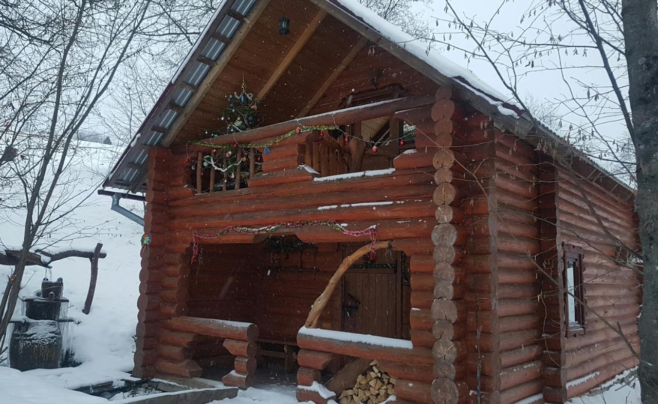 У Медовому Раю Villa Rostoka  Luaran gambar
